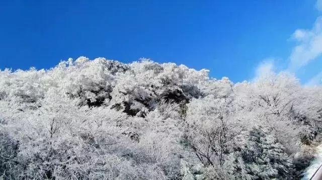 积分超值兑||江西航空客服中心开展有奖宣传活动